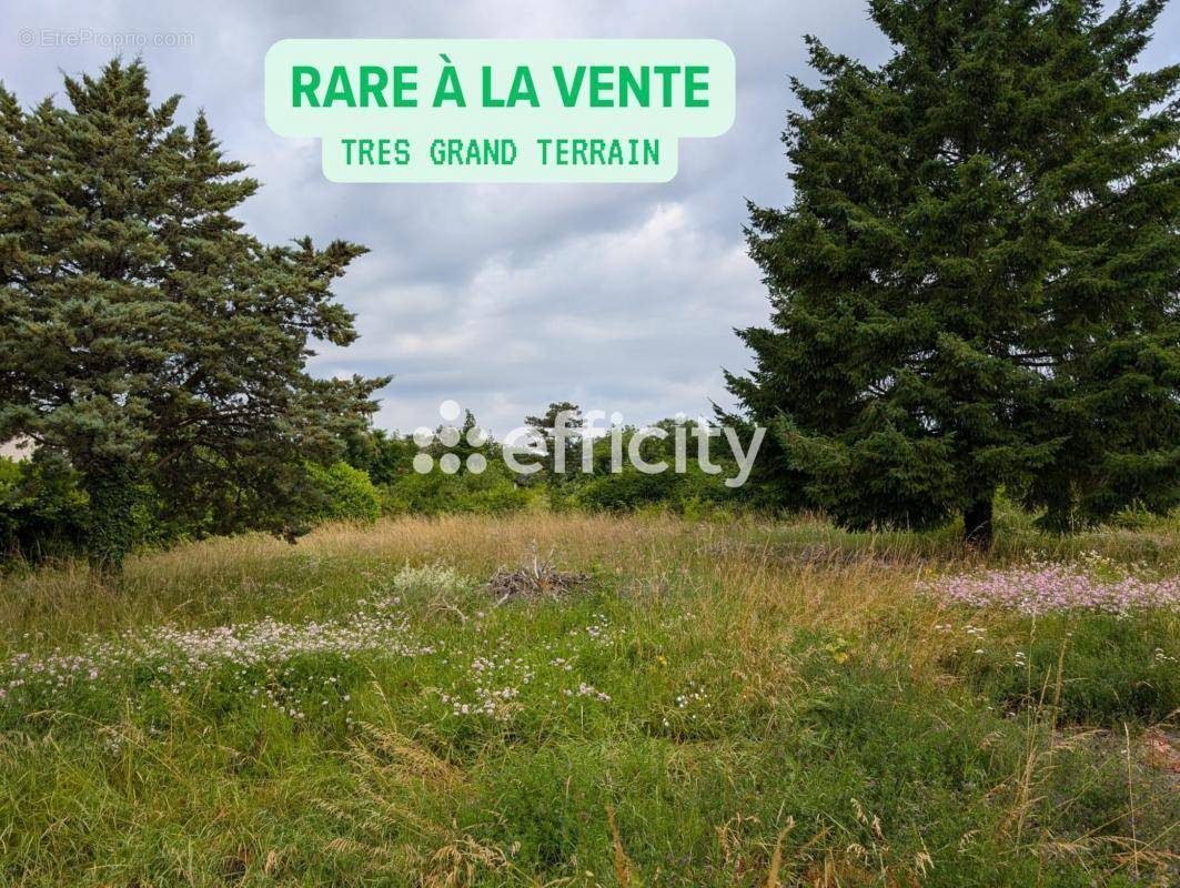 Terrain à MESSIGNY-ET-VANTOUX