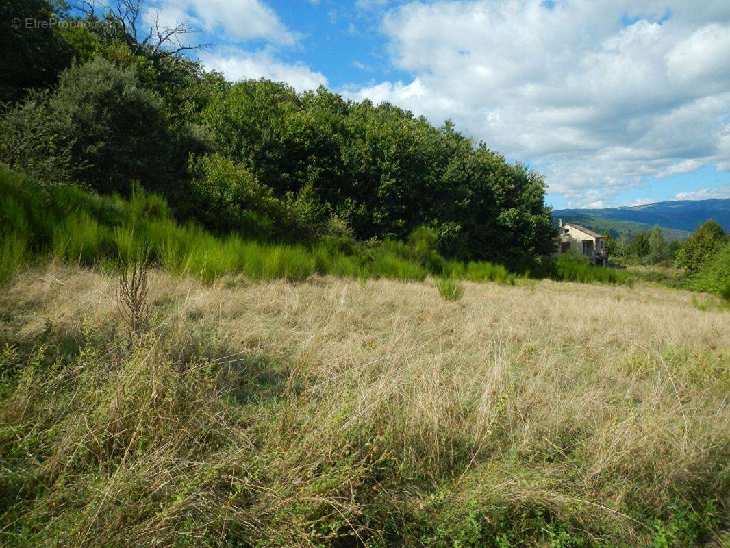 Terrain à LE COLLET-DE-DEZE