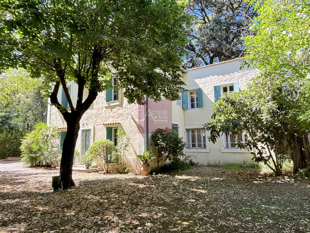 Maison à MONTPELLIER