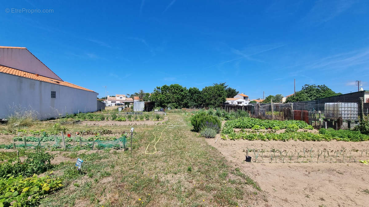 Terrain à SAINT-HILAIRE-DE-RIEZ