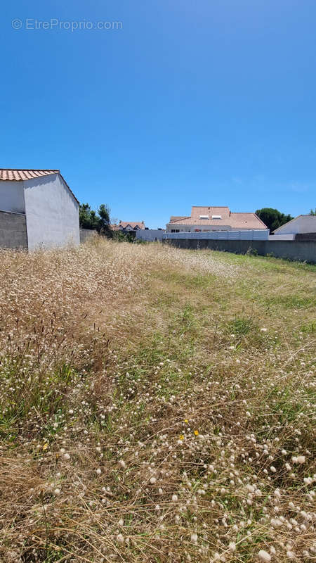 Terrain à SAINT-HILAIRE-DE-RIEZ