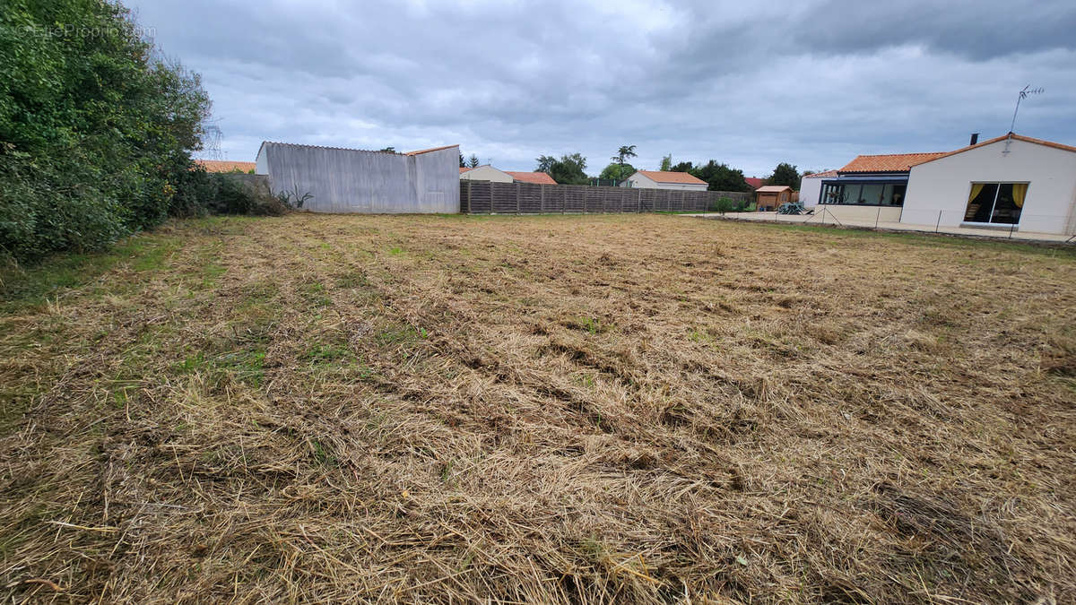 Terrain à SAINTE-GEMME-LA-PLAINE