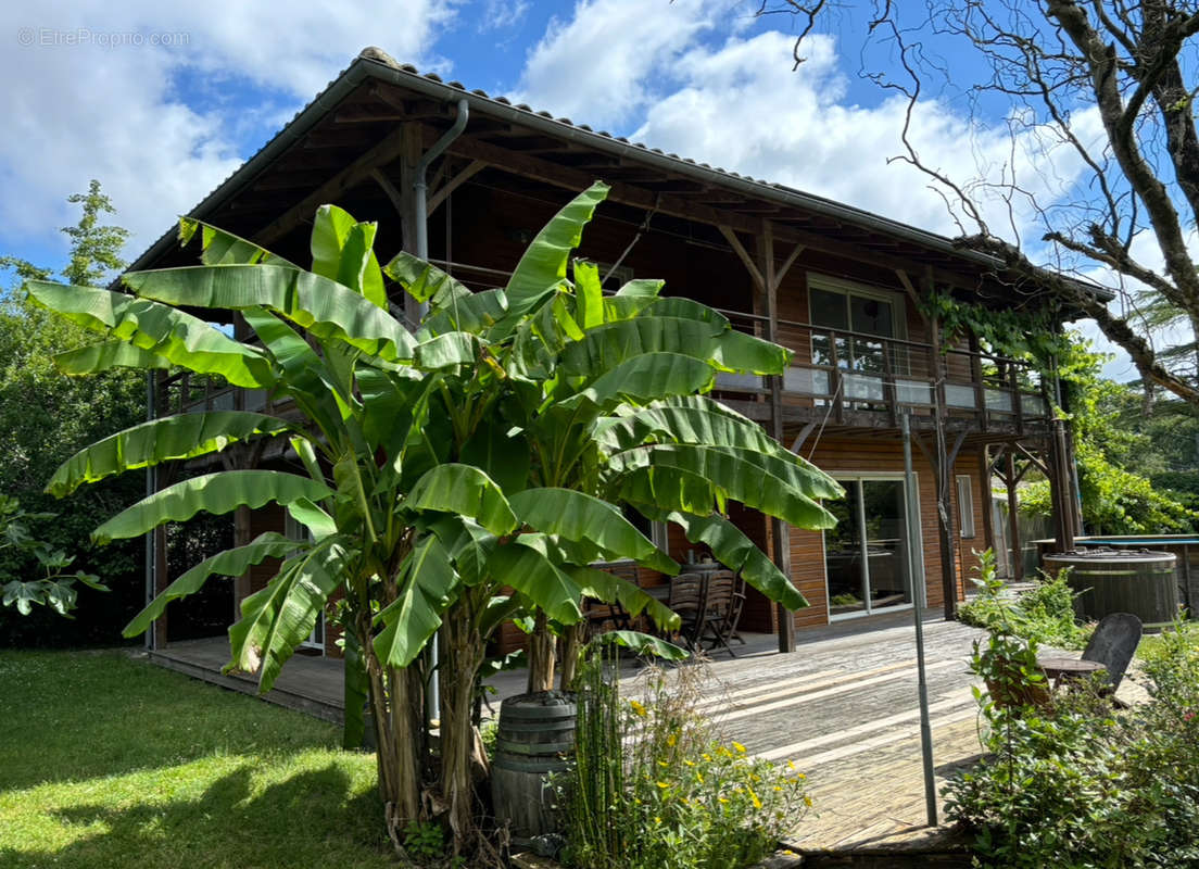 Maison à LE TEICH