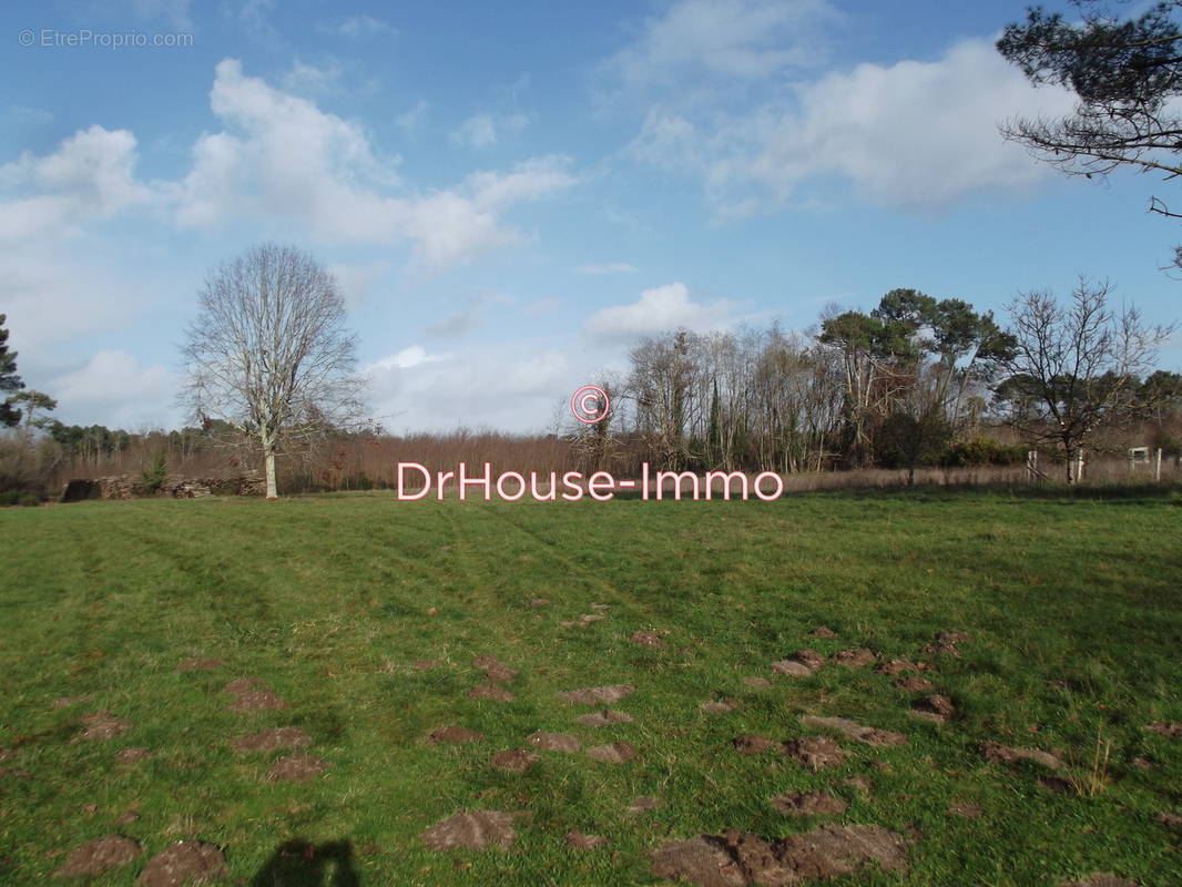 Terrain à CISSAC-MEDOC