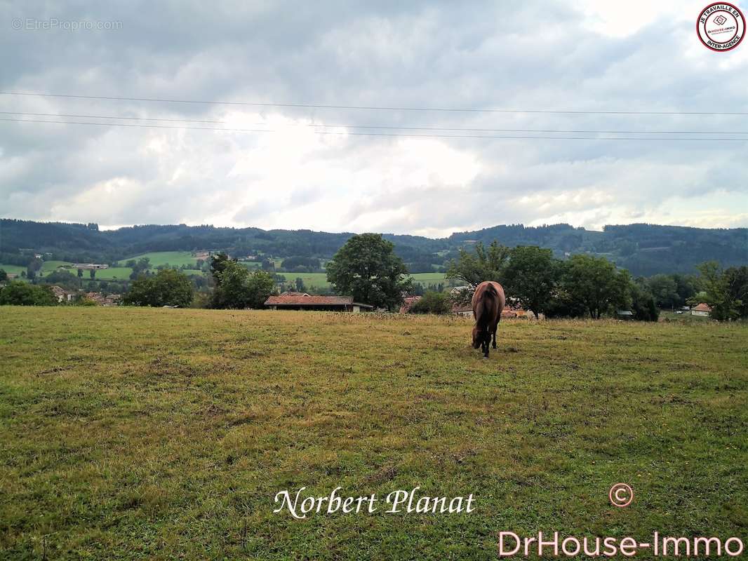 Terrain à CUNLHAT