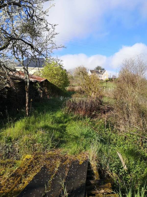 Terrain à LA CHARTRE-SUR-LE-LOIR