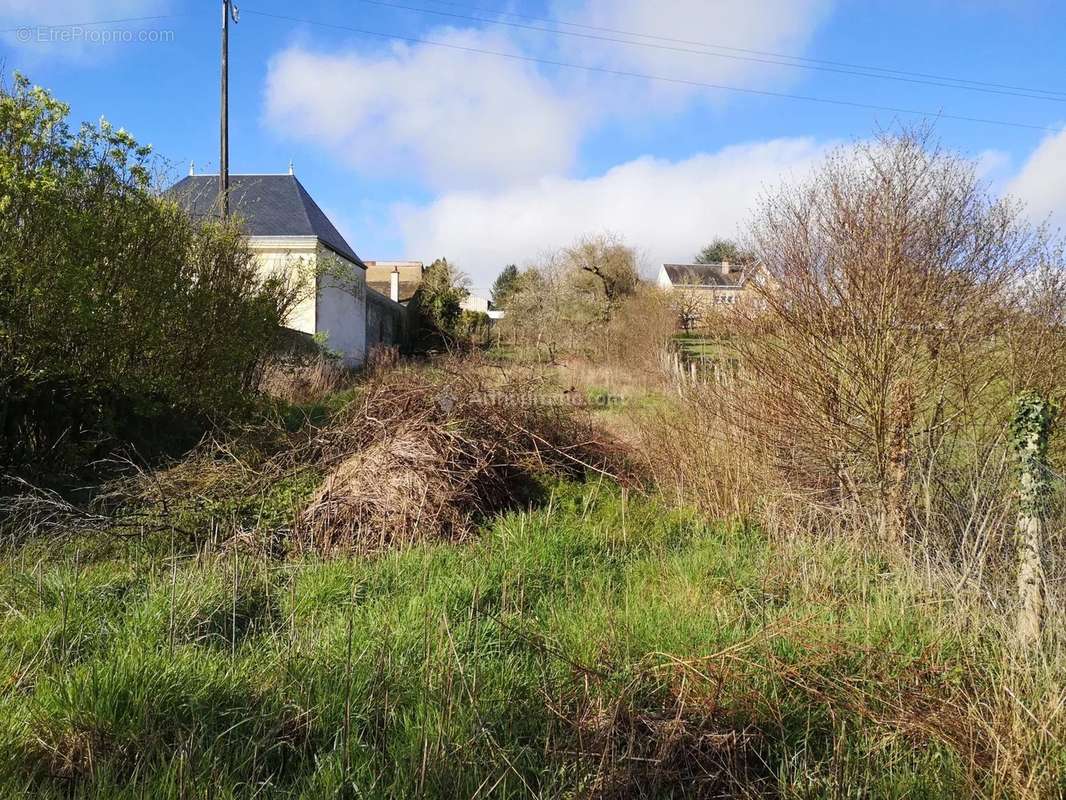 Terrain à LA CHARTRE-SUR-LE-LOIR