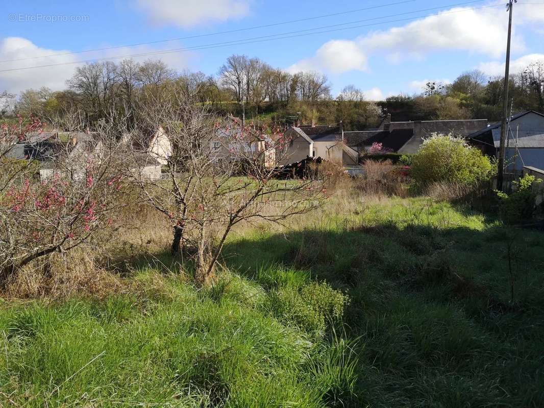 Terrain à LA CHARTRE-SUR-LE-LOIR