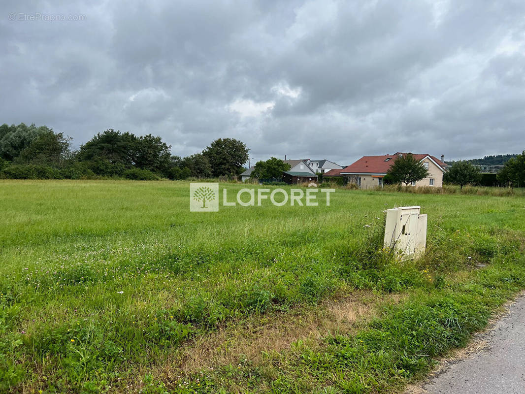 Terrain à DOGNEVILLE