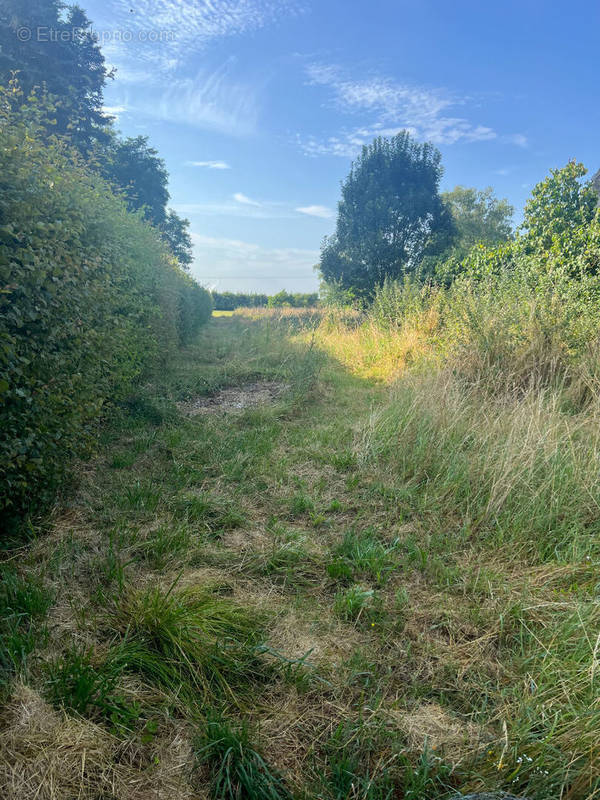 Terrain à BRIOU