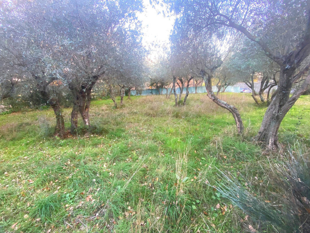 Terrain à MONTIGNARGUES