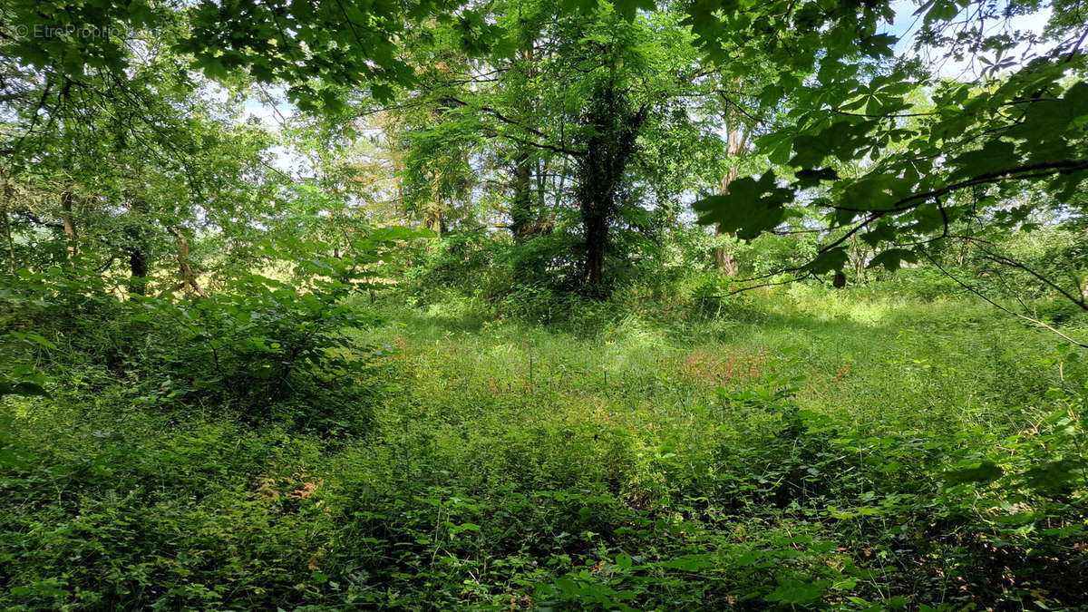 Terrain à COURCELLES-CHAUSSY