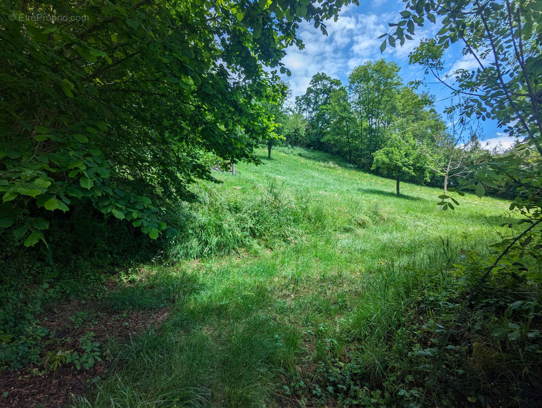 Terrain à SAINT-GENIEZ-D&#039;OLT