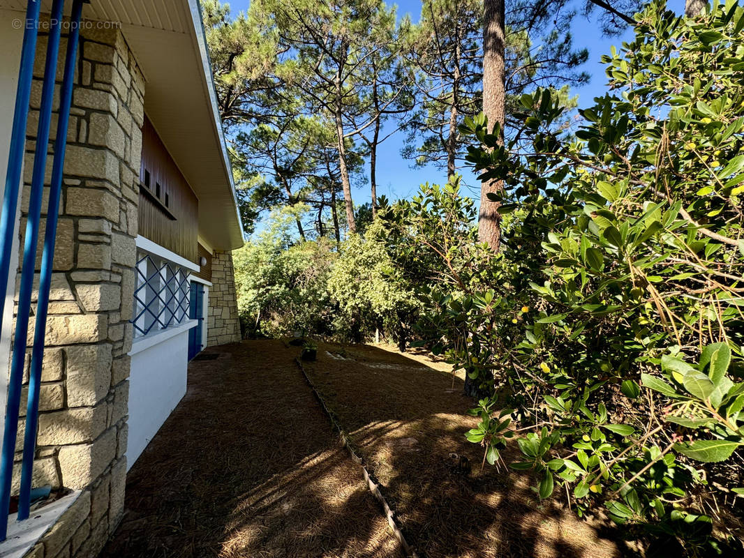 Maison à LEGE-CAP-FERRET