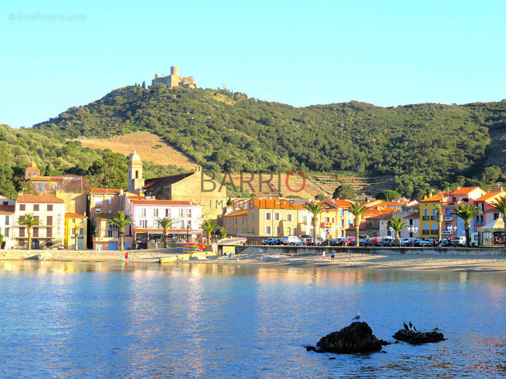 Commerce à COLLIOURE