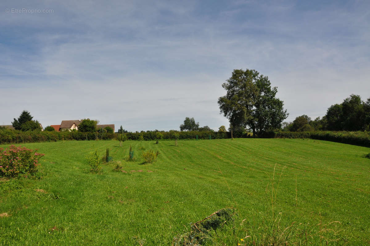 Maison à ANDELAROCHE