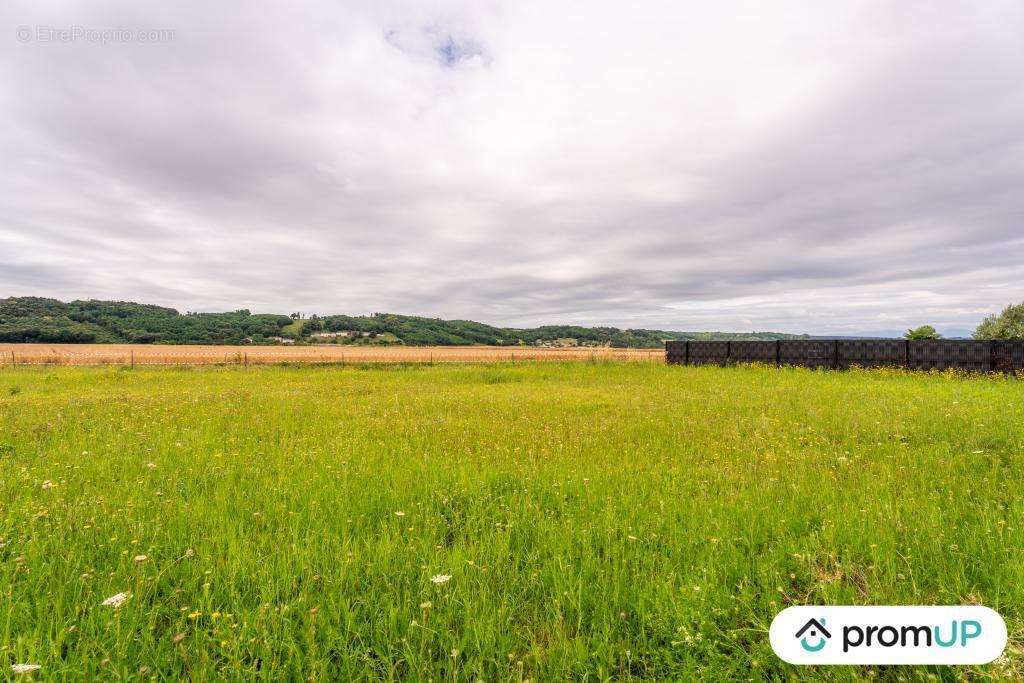 Terrain à MOIDIEU-DETOURBE