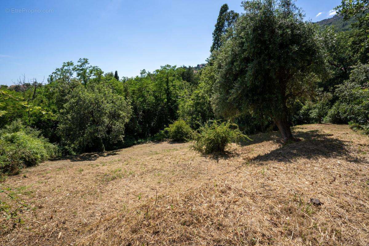 Terrain à VENCE