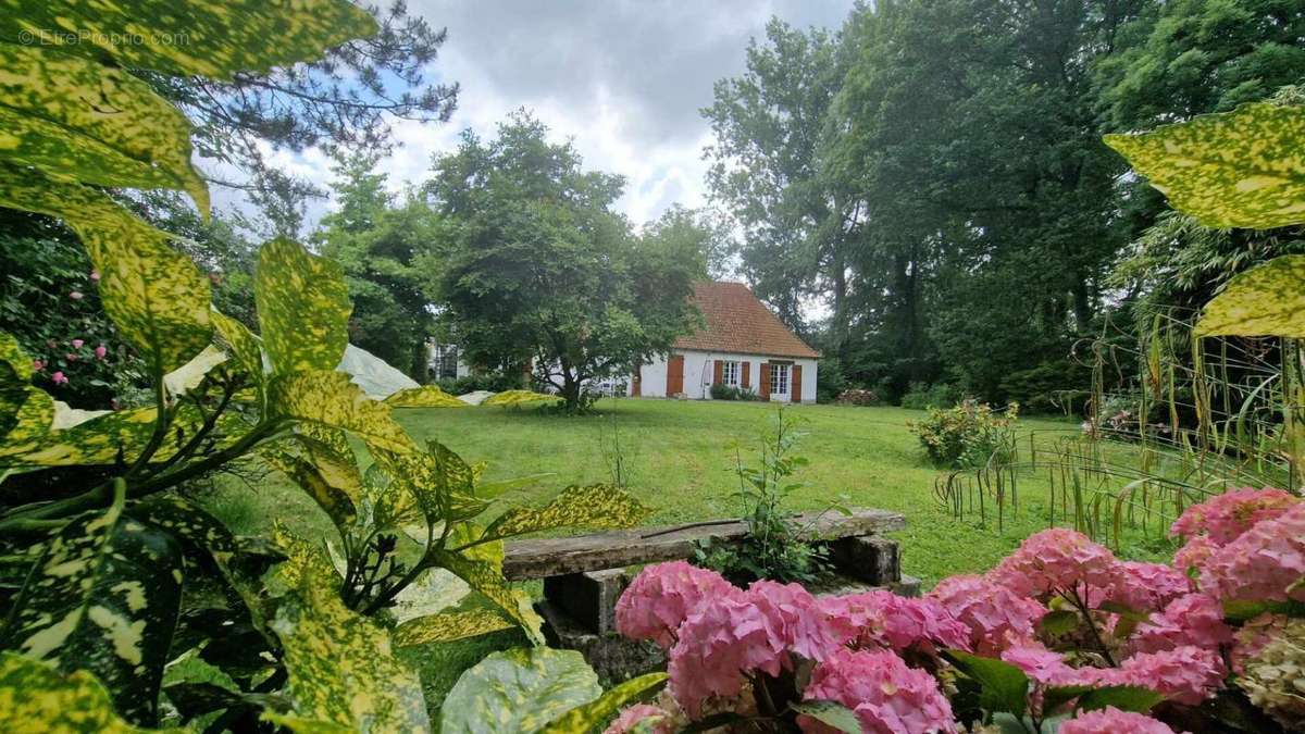 Maison à HESDIN