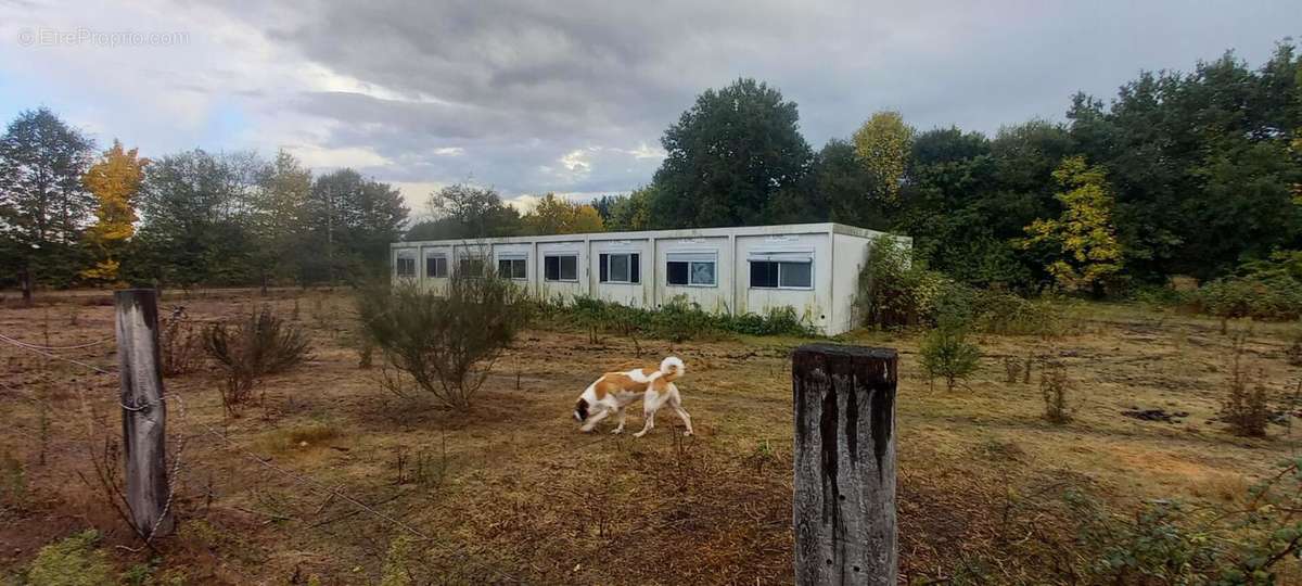 Maison à BAUGE