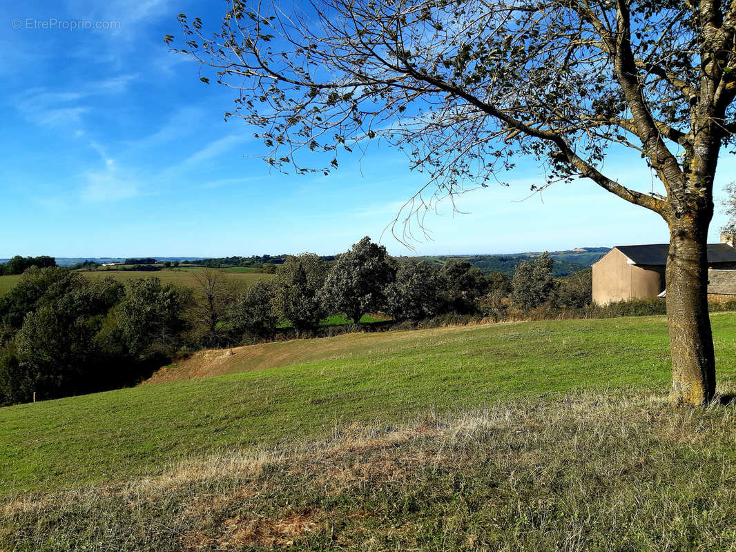 Maison à REQUISTA