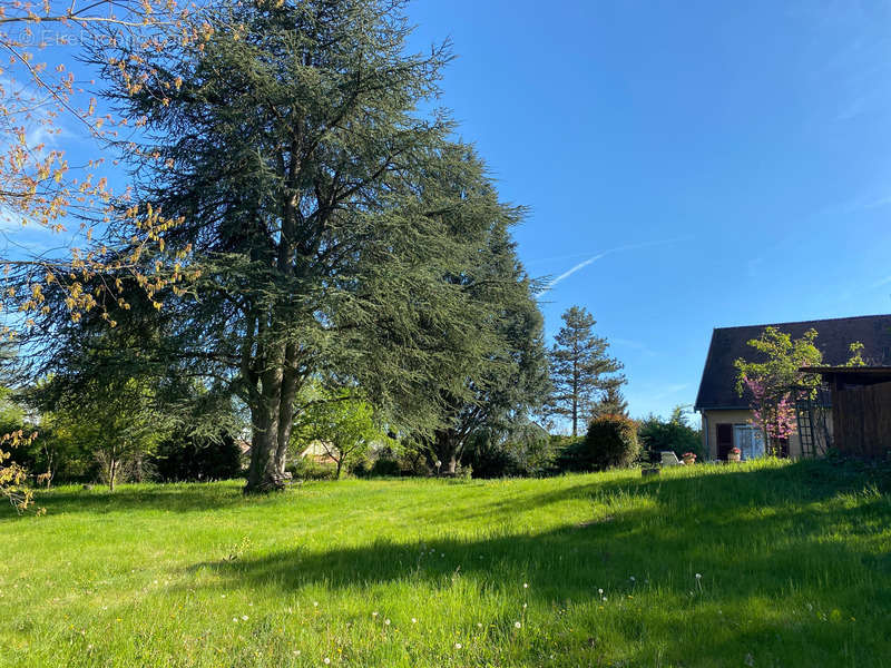 Maison à DRACY-LE-FORT