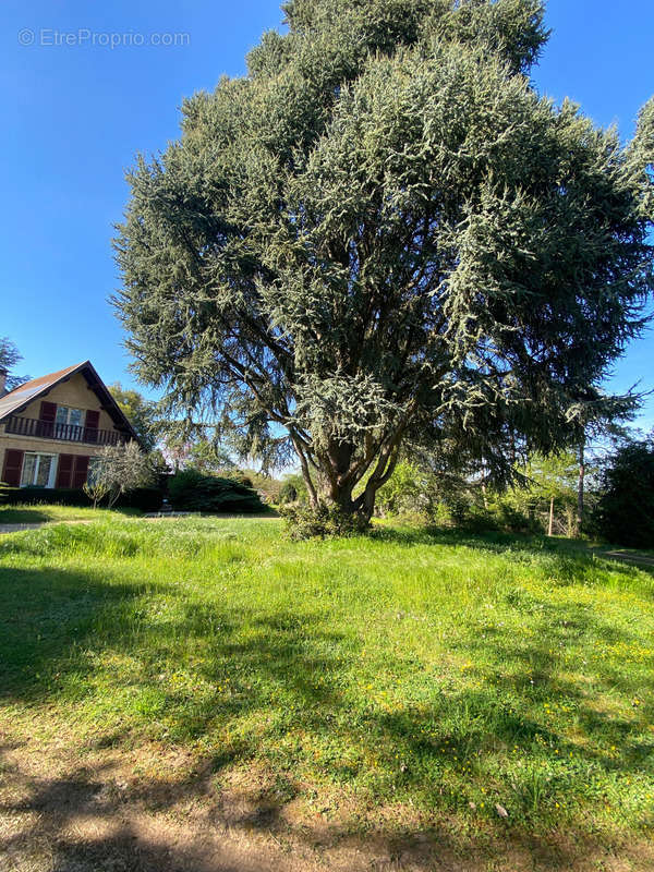 Maison à DRACY-LE-FORT