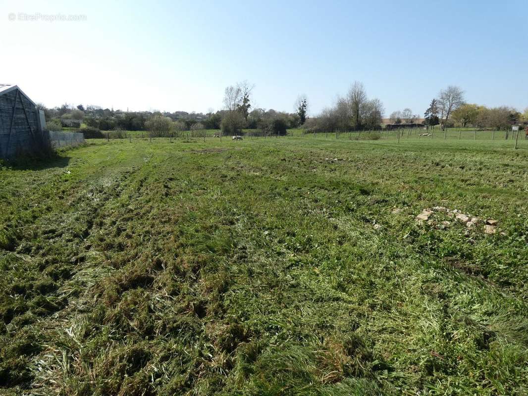 Terrain à SAINTE-HERMINE