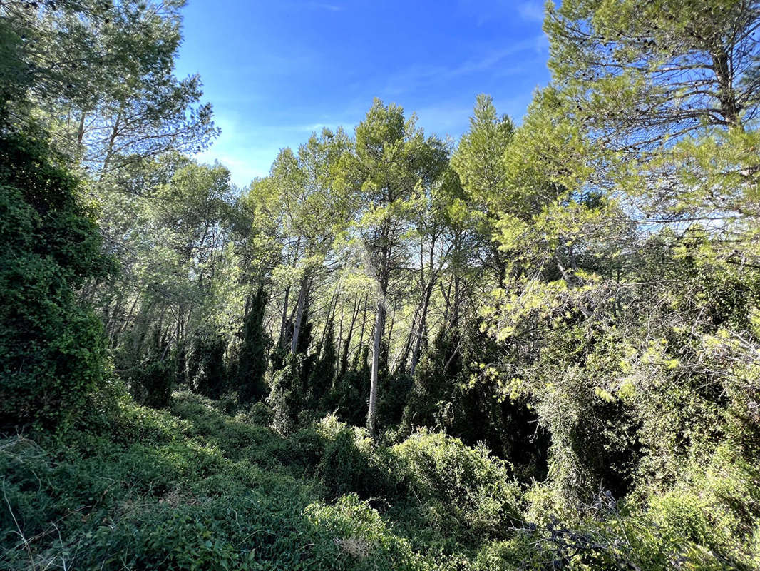 Terrain à SAINT-DREZERY