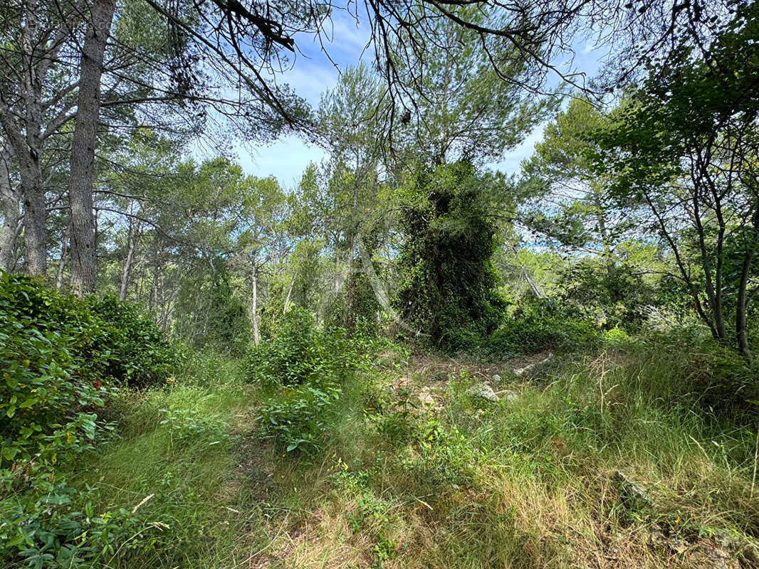 Terrain à SAINT-DREZERY