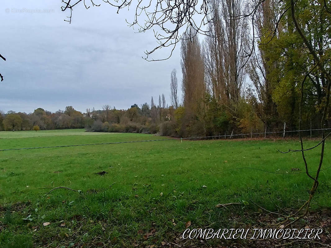 Terrain à MONTEILS