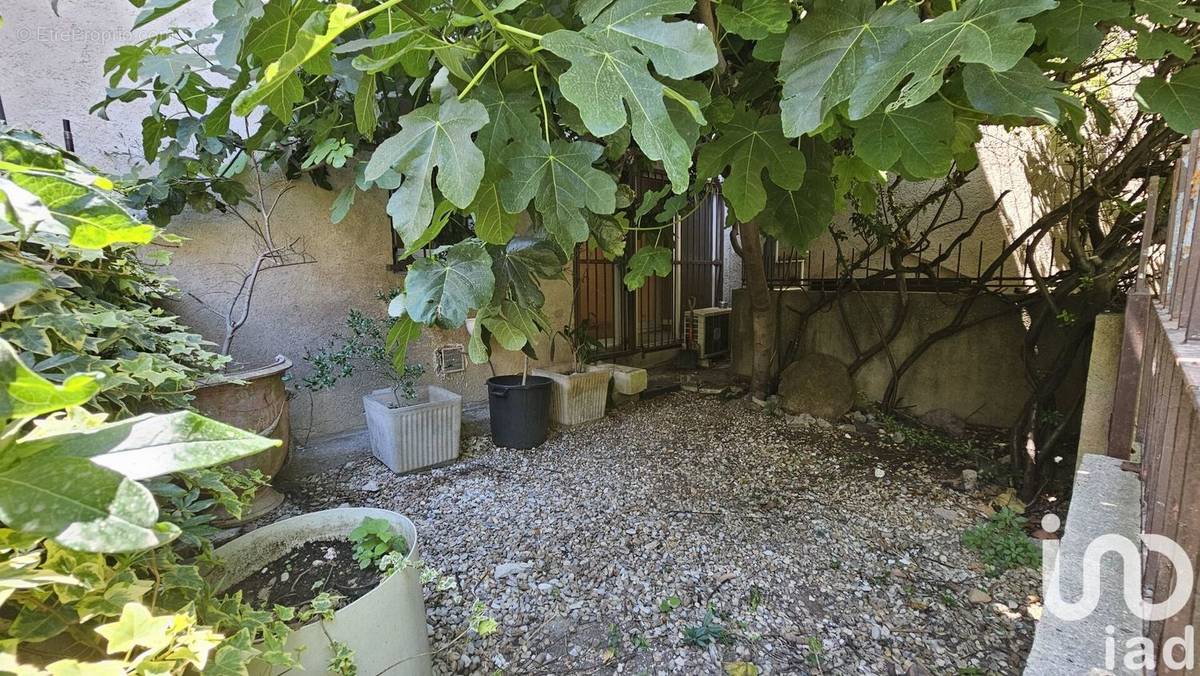 Photo 1 - Appartement à AVIGNON