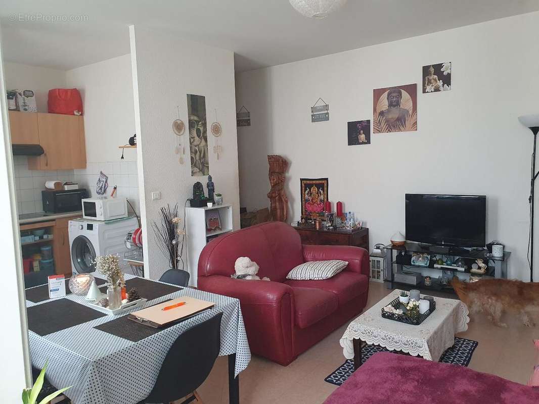   - Appartement à CASTRES