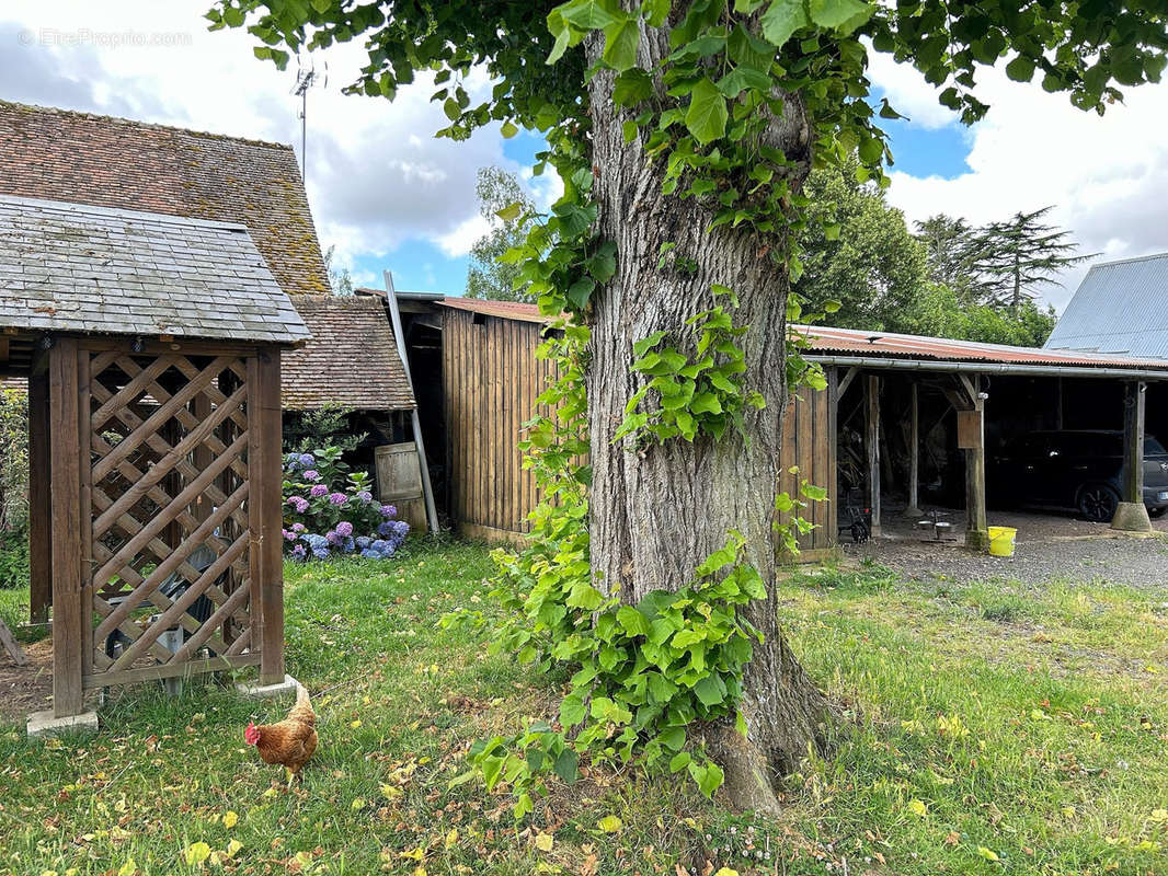 Maison à COUDRES