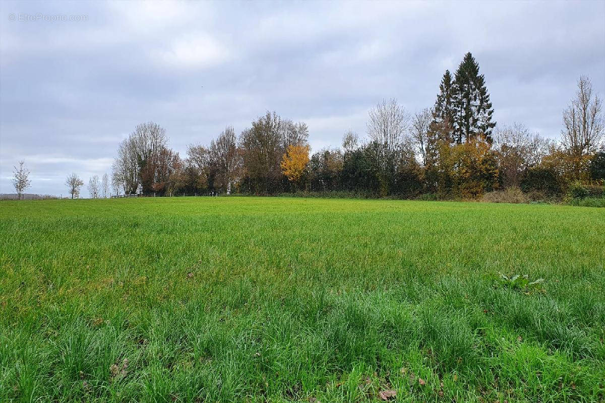 Terrain à HUMIERES