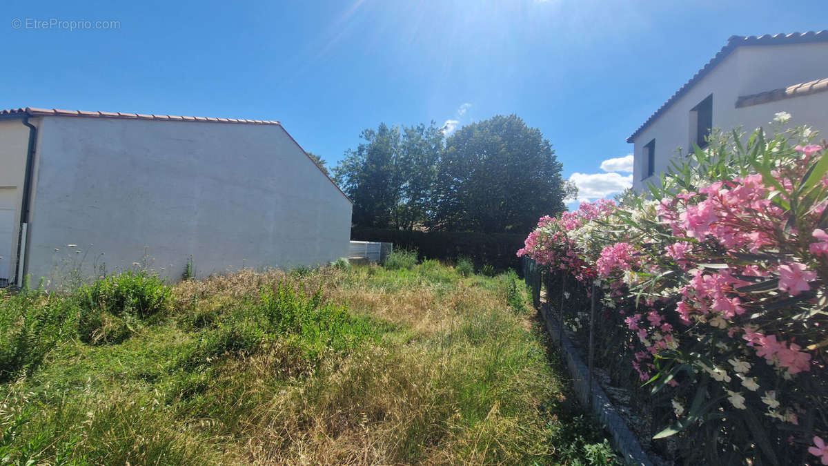 Terrain à SAINT-CYPRIEN