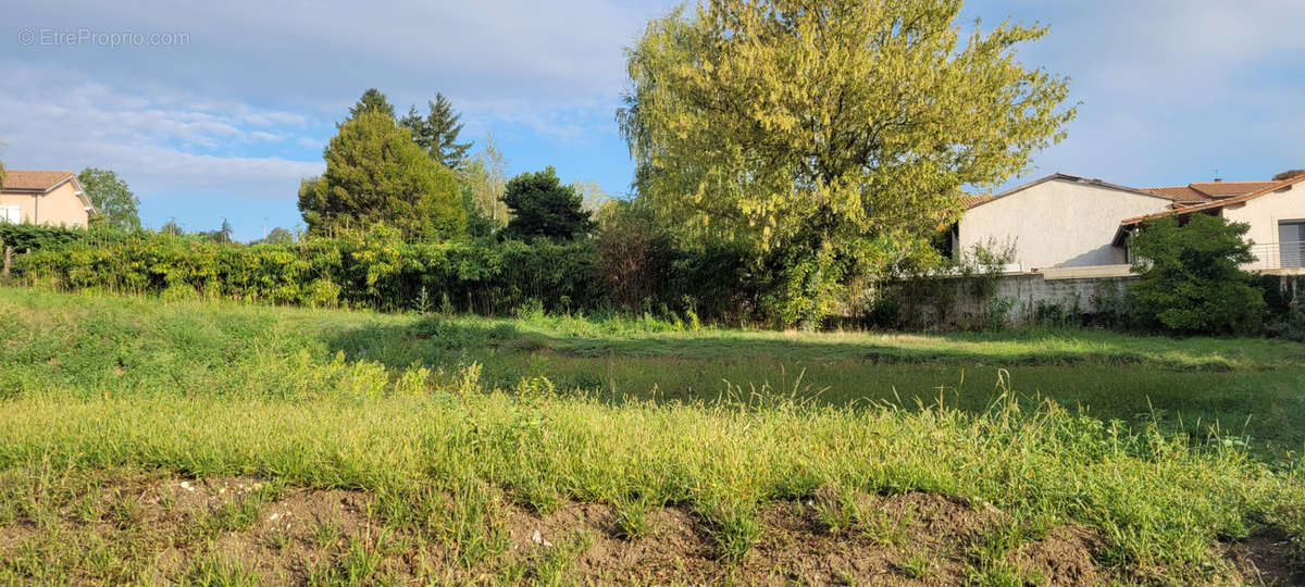 Terrain à SAINT-PRIM