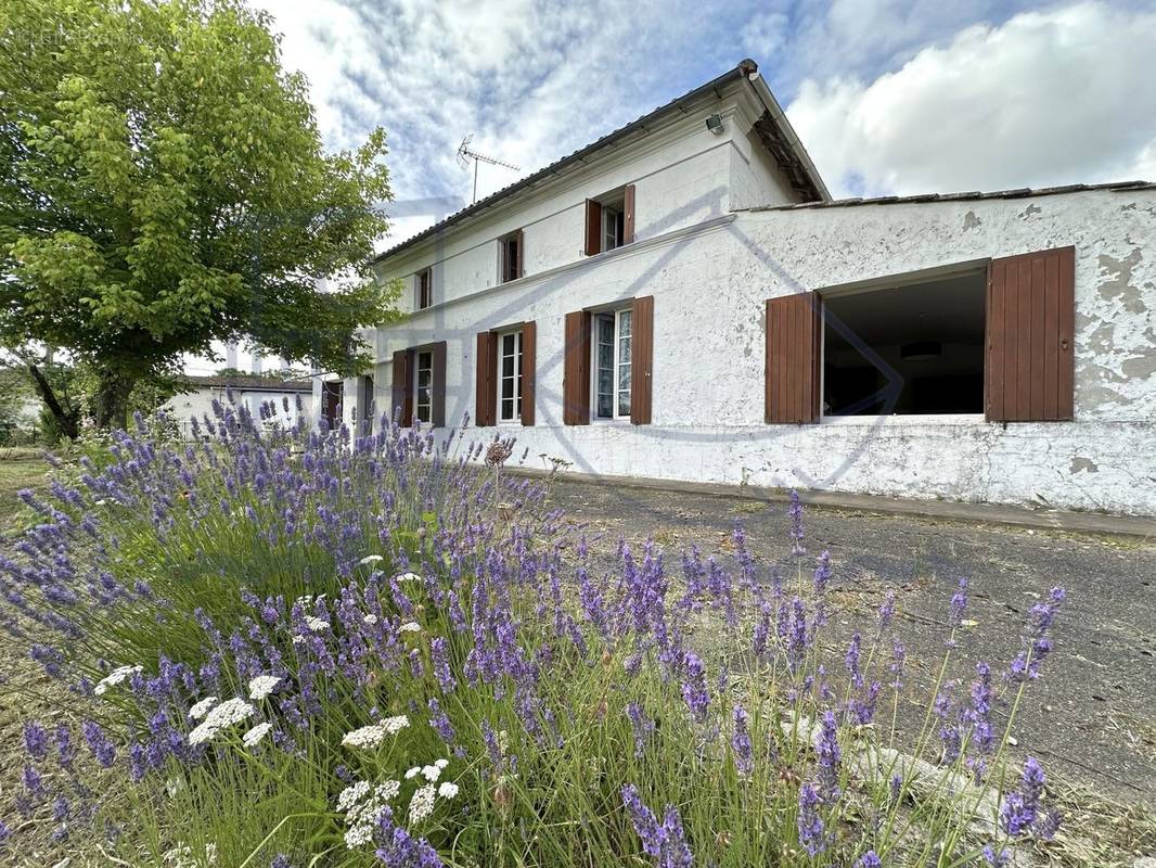 Maison à SAINT-FORT-SUR-GIRONDE