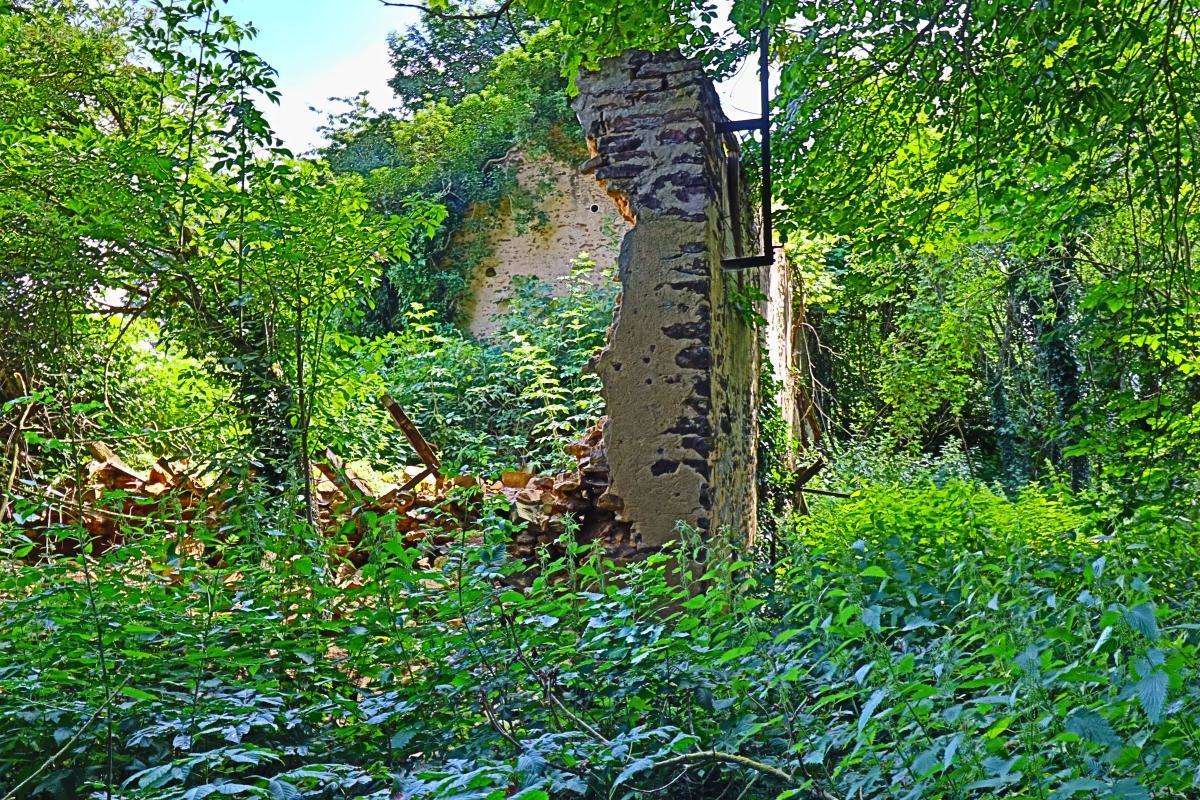 Maison à SAINTE-GEMME-EN-SANCERROIS