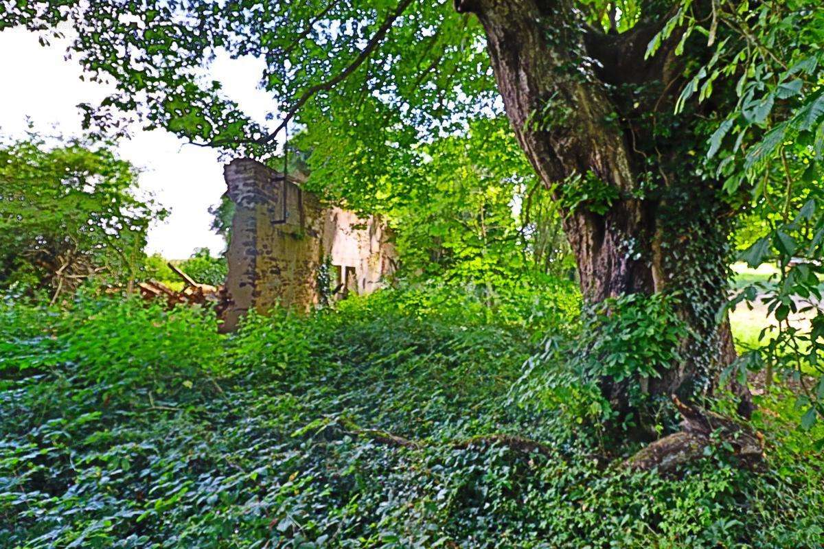 Maison à SAINTE-GEMME-EN-SANCERROIS