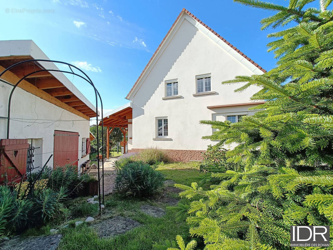 Maison à SAVERNE