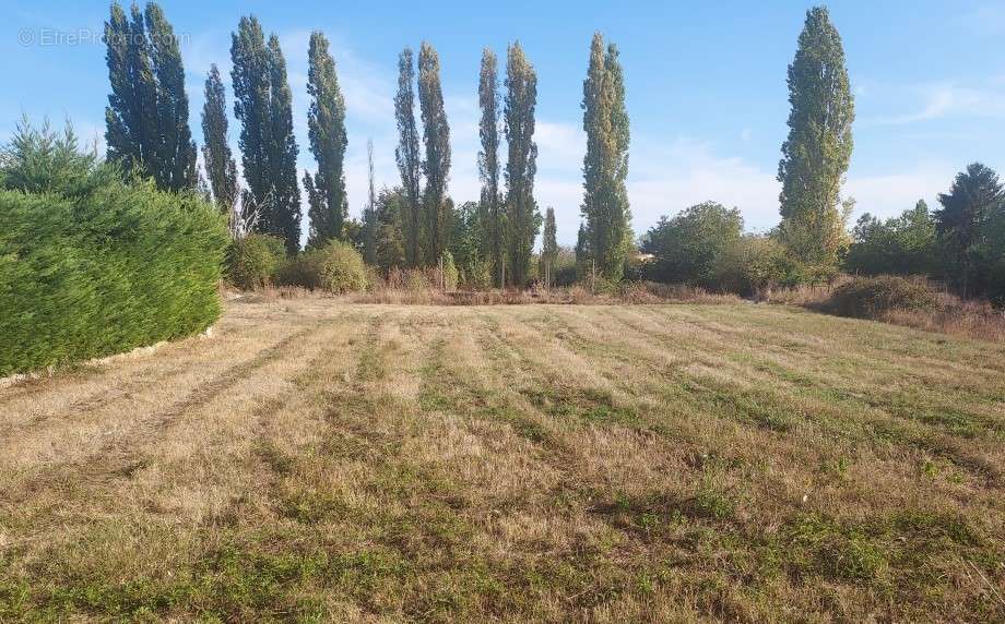 Terrain à TOUR-EN-SOLOGNE