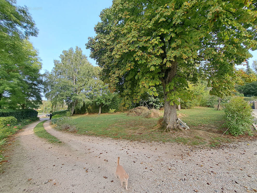 Terrain à NESLES-LA-VALLEE