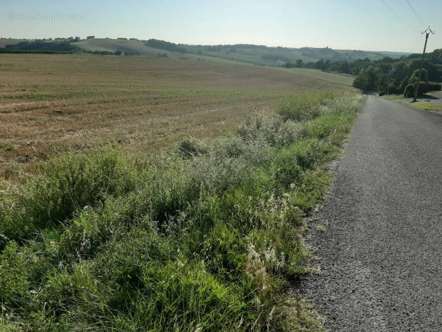 Terrain à LE FAGET