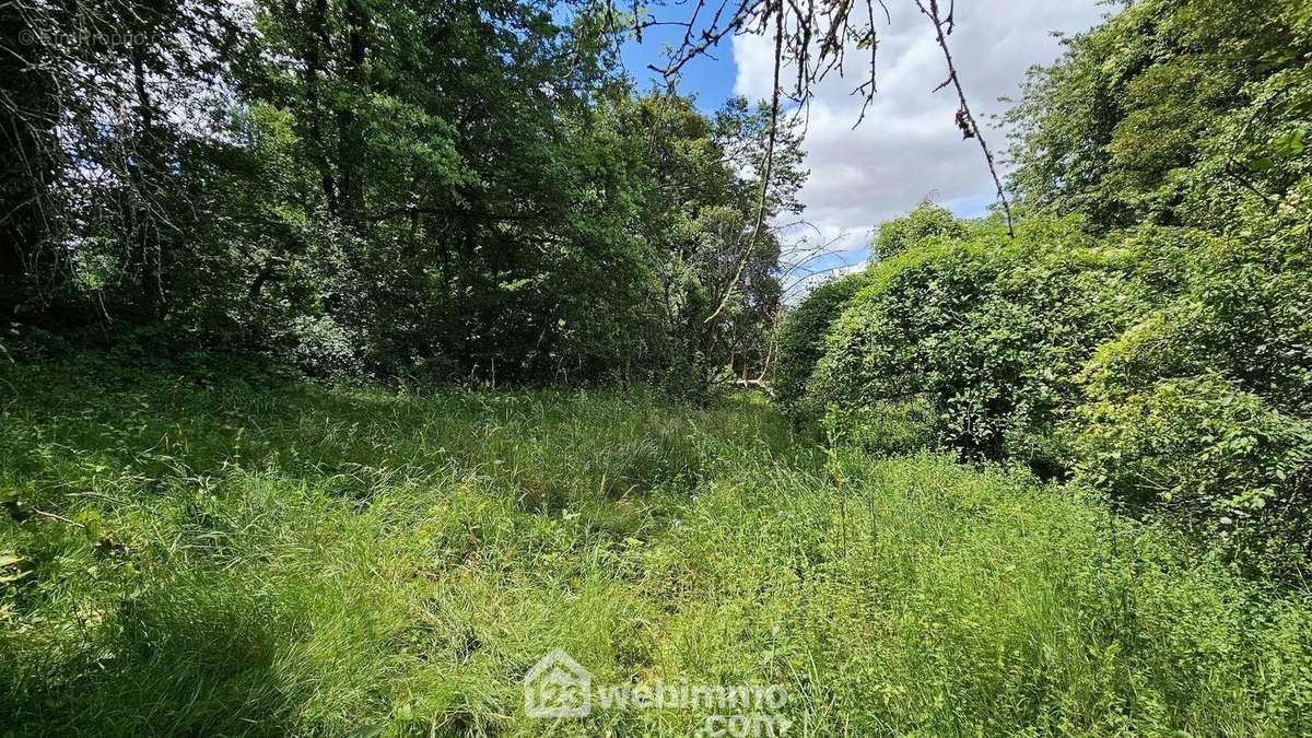 Un terrain avec tout à l&#039;égout dans la rue. - Terrain à DANNEMOIS