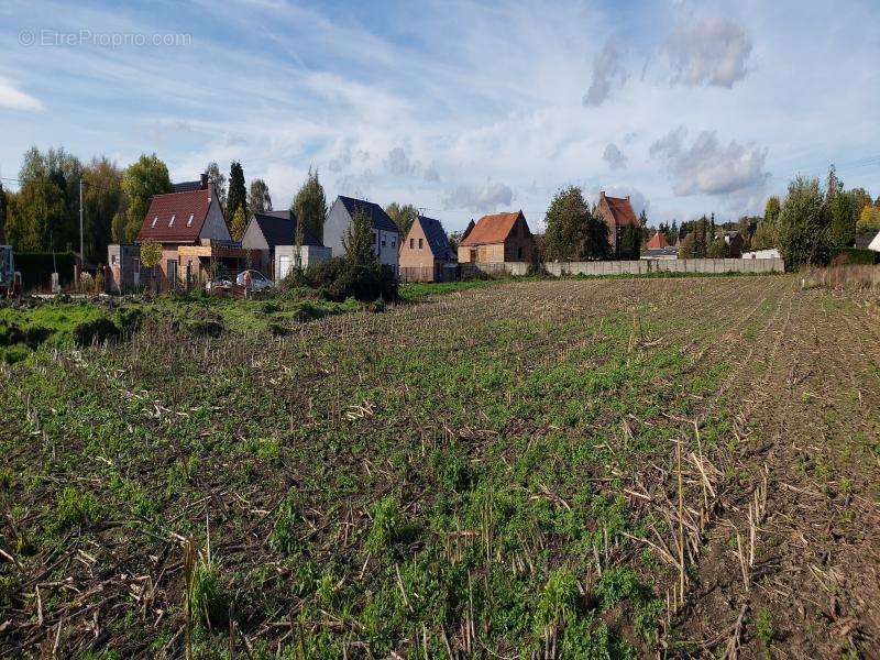 Terrain à CONDE-SUR-L&#039;ESCAUT