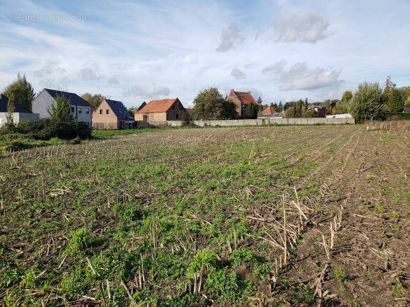 Terrain à CONDE-SUR-L&#039;ESCAUT