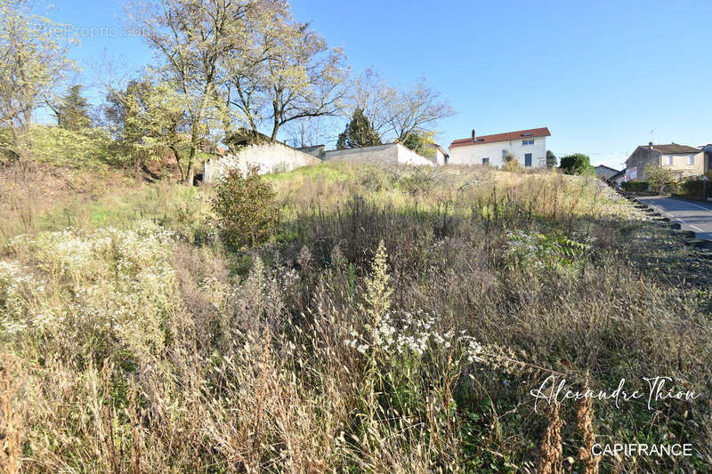 Terrain à AMBERIEU-EN-BUGEY