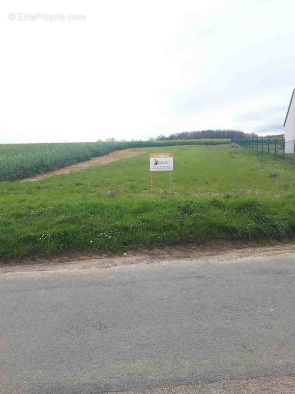 Terrain à GUIGNECOURT