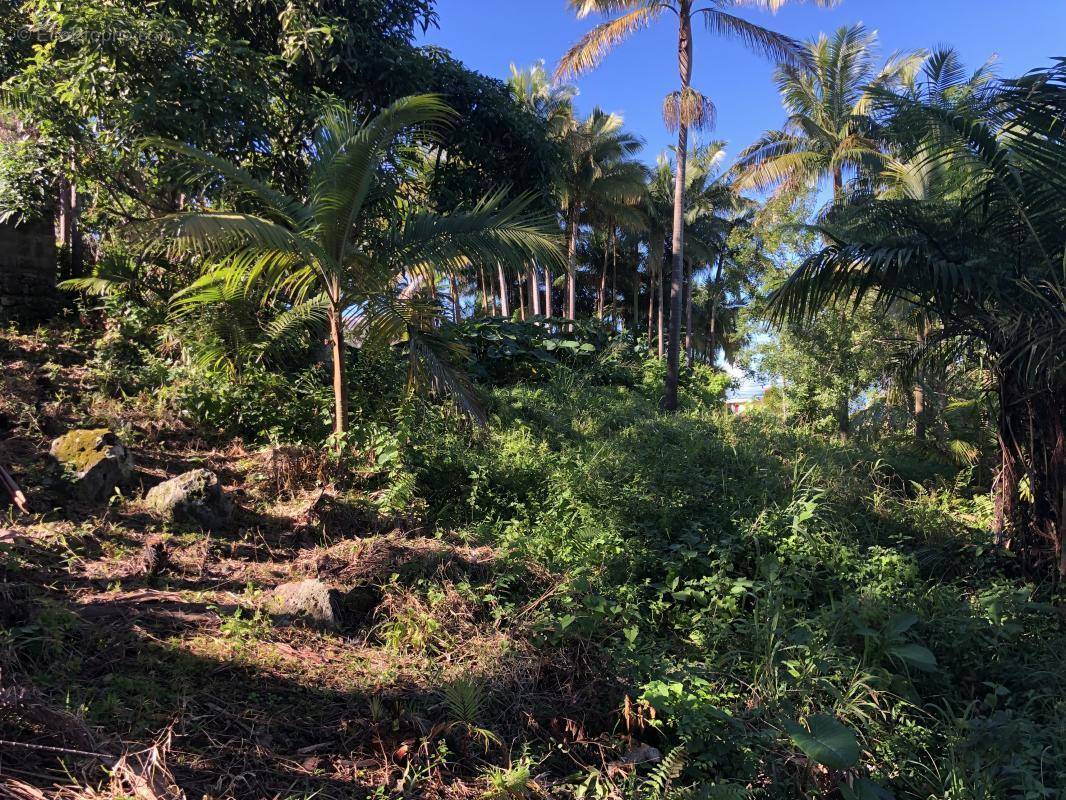 Terrain à PETITE-ILE